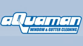 Aquaman Window & Gutter Cleaning