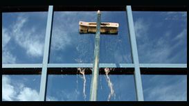 Rcs Window Cleaning Services